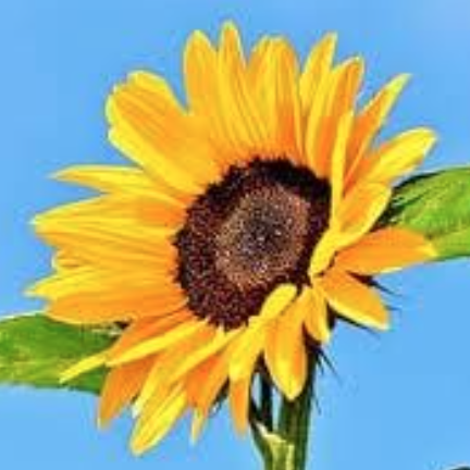 Screenshot 2020-05-04 at 12.43.42 Screenshot 2020-05-04 at 12.43.42