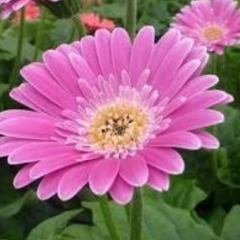 Screenshot 2020-05-04 at 12.44.00 Screenshot 2020-05-04 at 12.44.00