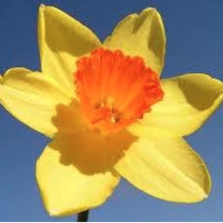 Screenshot 2020-05-04 at 12.44.08 Screenshot 2020-05-04 at 12.44.08